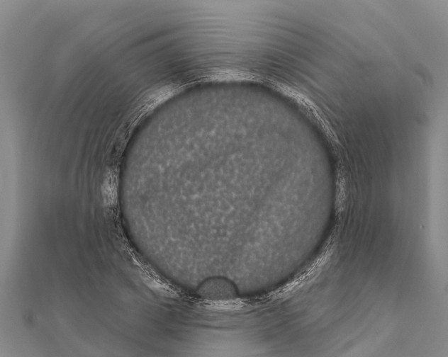 X0000112000833200908241431