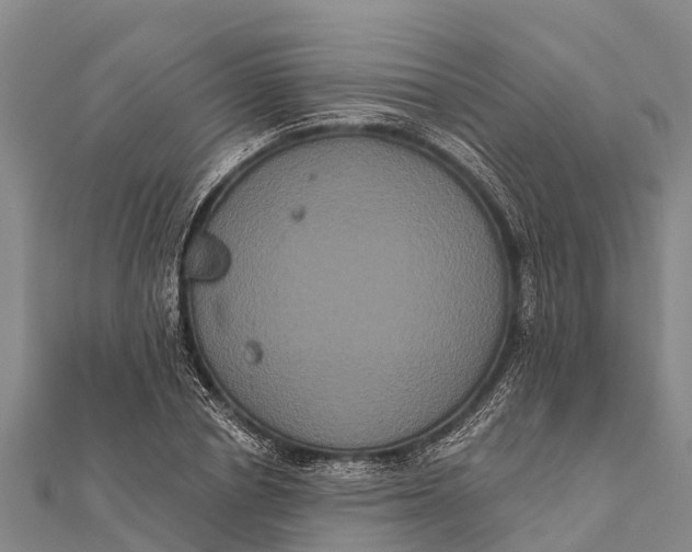 X0000112000834200908241431