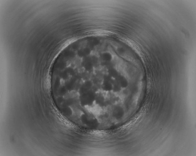 X0000112000835200908241431