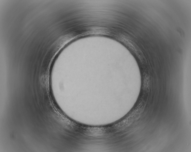 X0000112000836200908241431