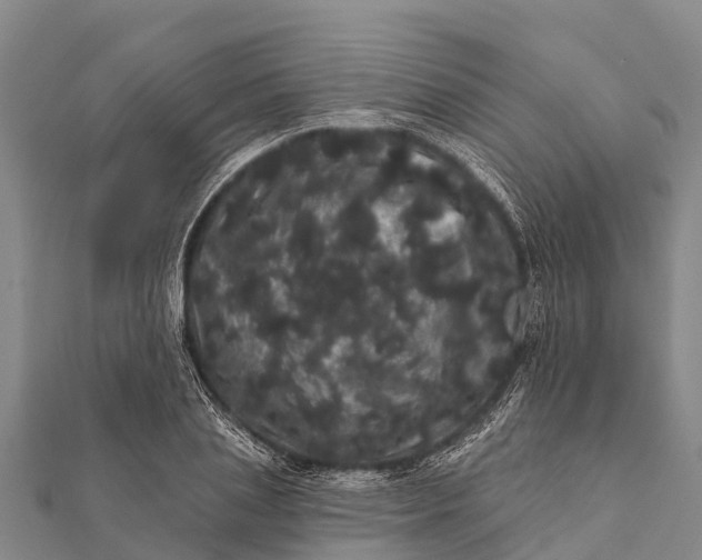 X0000112000837200908241431