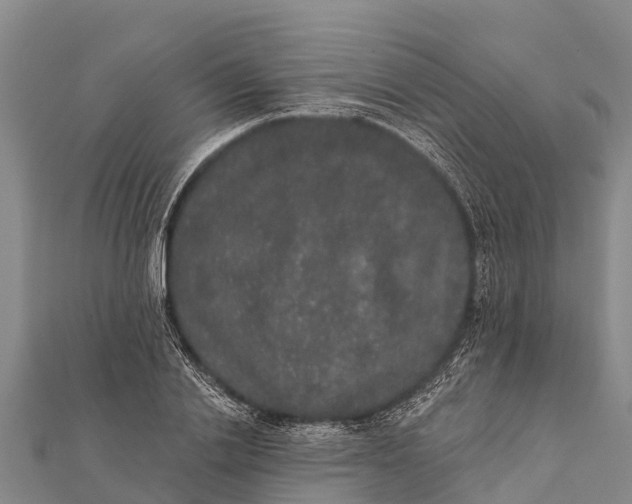 X0000112000838200908241431