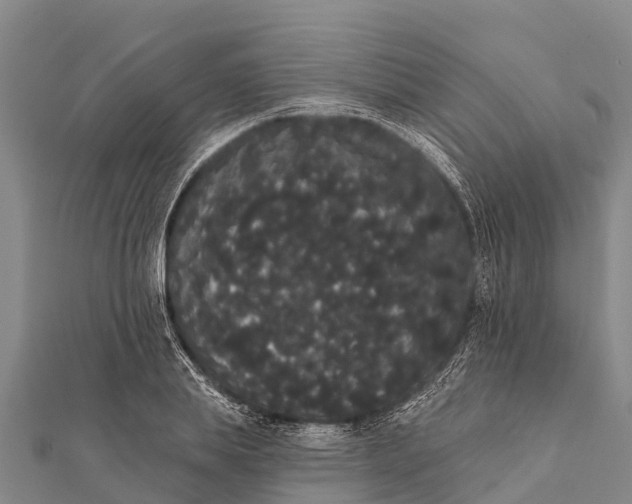 X0000112000839200908241431