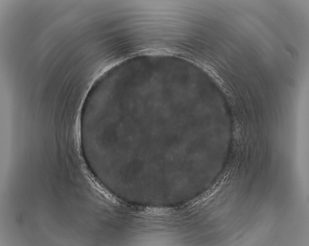 X0000112000840200908241431