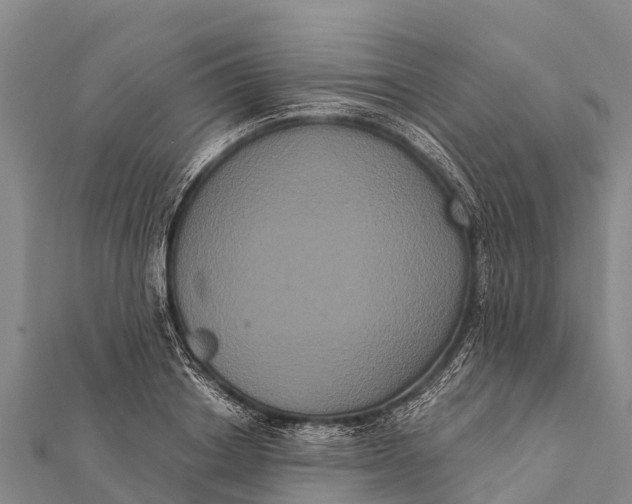 X0000112000842200908241431