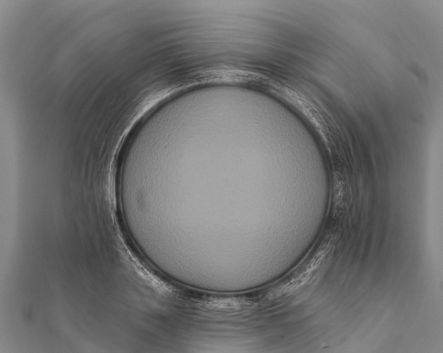 X0000112000843200908241431