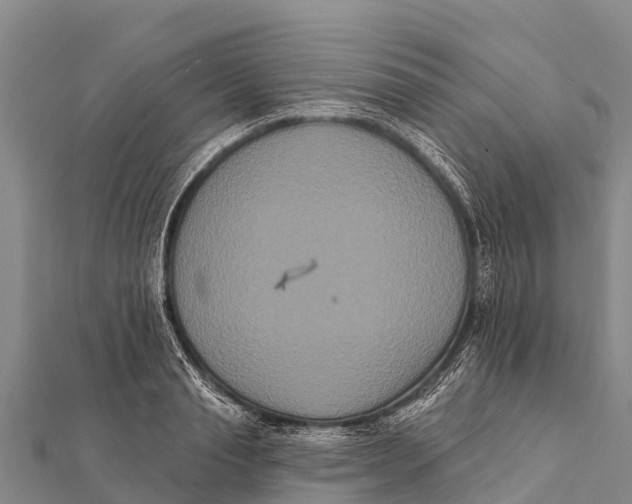 X0000112000845200908241431