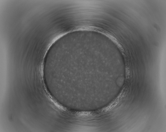 X0000112000846200908241431