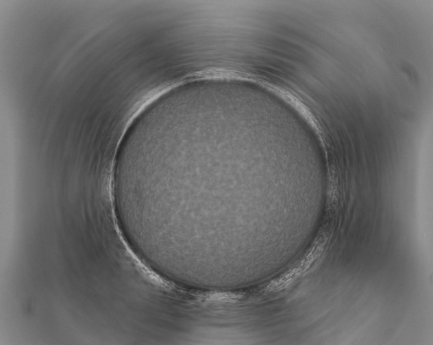 X0000112000847200908241431