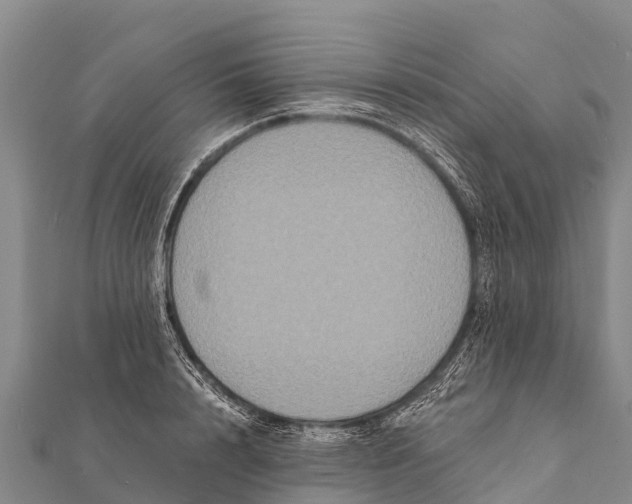 X0000112000848200908241431