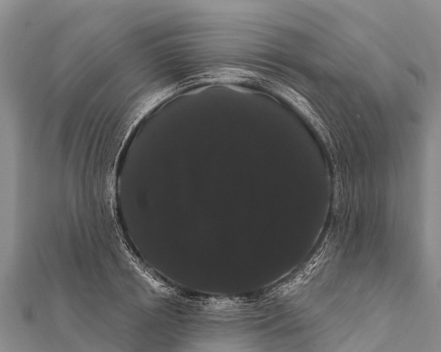 X0000112000850200908241431