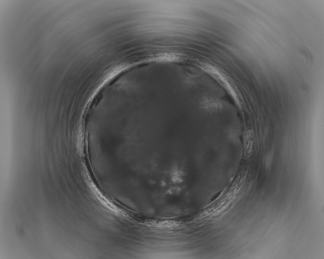 X0000112000851200908241431