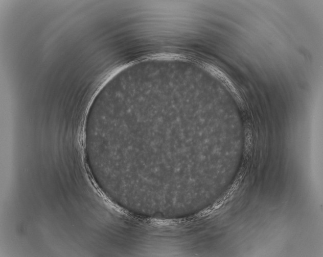 X0000112000852200908241431