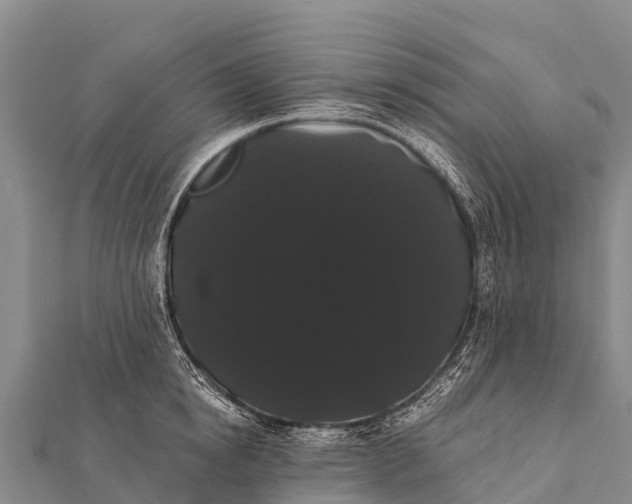 X0000112000854200908241431