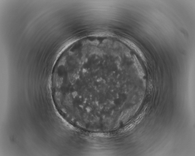 X0000112000855200908241431