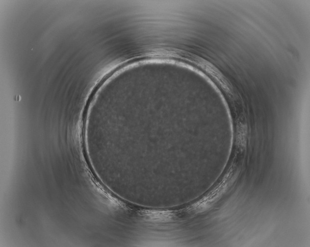 X0000112000856200908241431