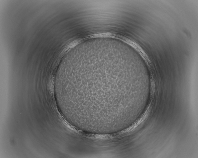 X0000112000857200908241431