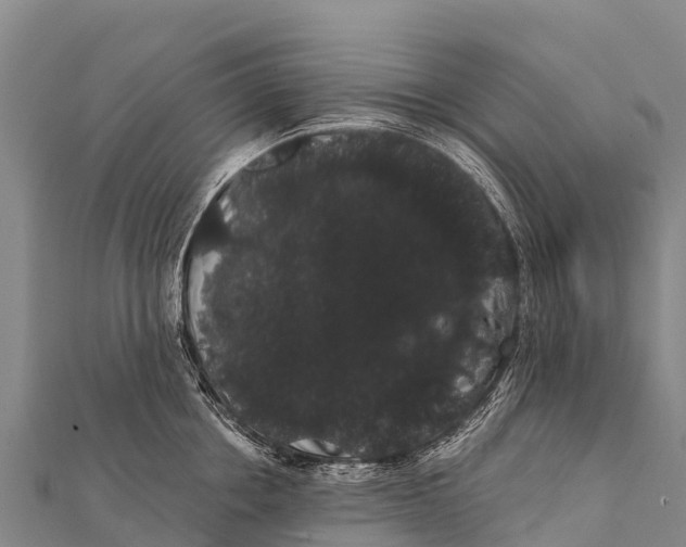 X0000112000858200908241431