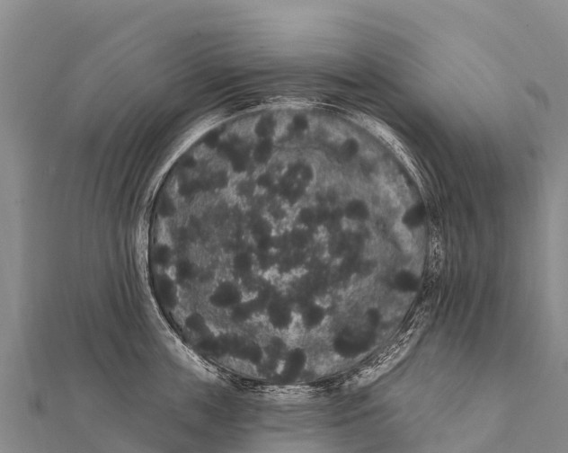 X0000112000859200908241431