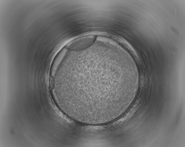 X0000112000860200908241431