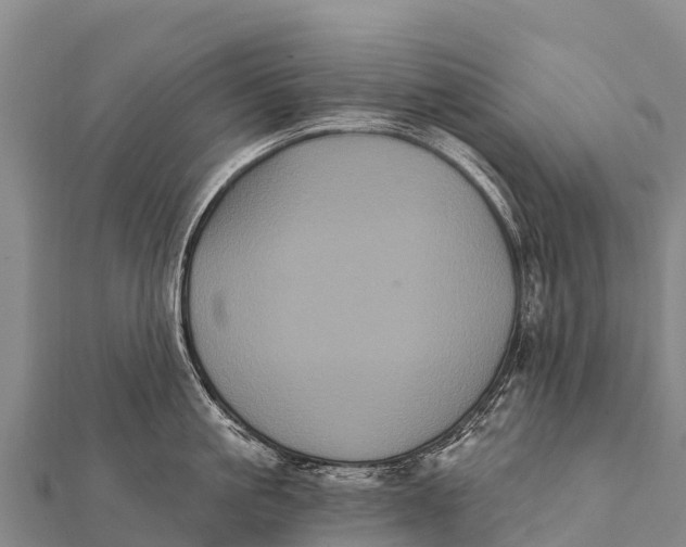 X0000112000861200908241431