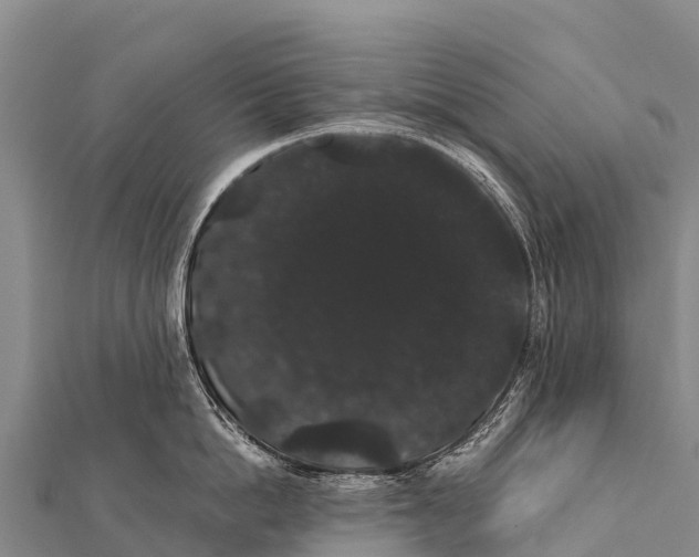 X0000112000862200908241431