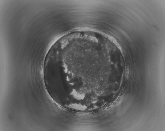 X0000112000863200908241431