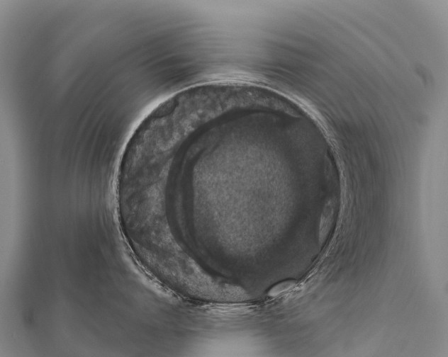 X0000112000864200908241431