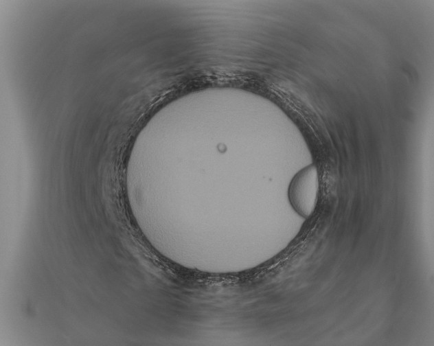 X0000112000865200908241431