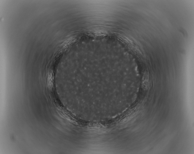 X0000112000866200908241431