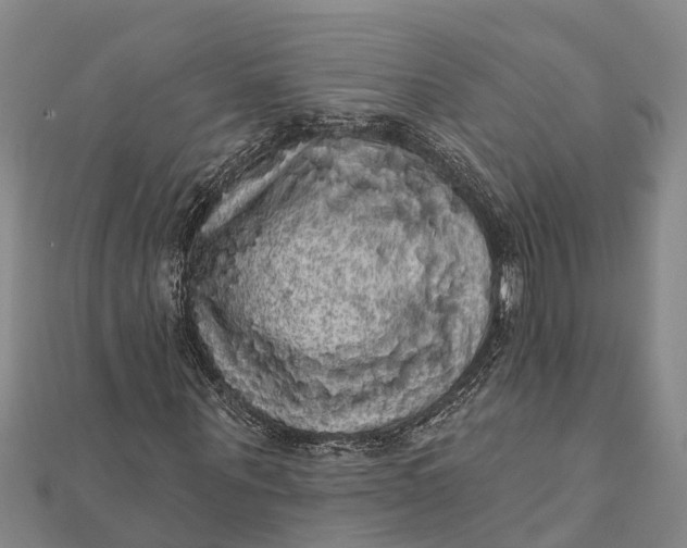 X0000112000867200908241431