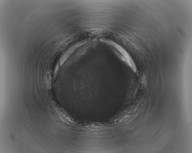 X0000112000868200908241431