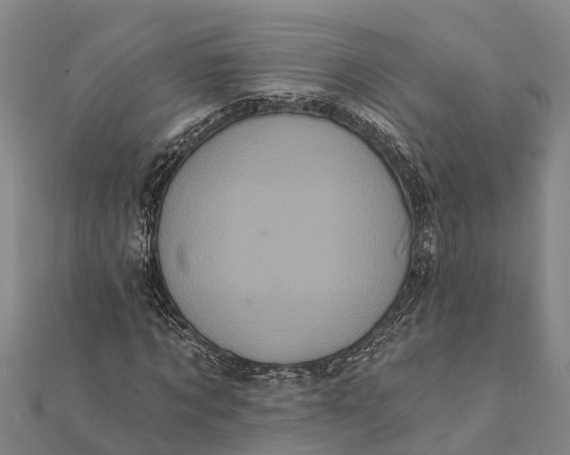 X0000112000869200908241431