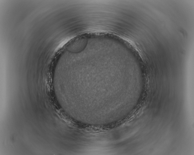 X0000112000871200908241431