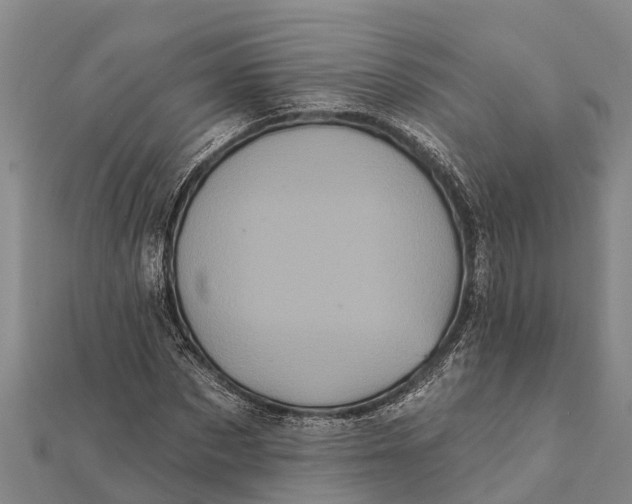 X0000112000873200908241430