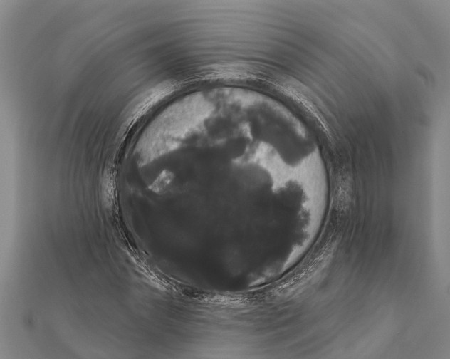 X0000112000874200908241430