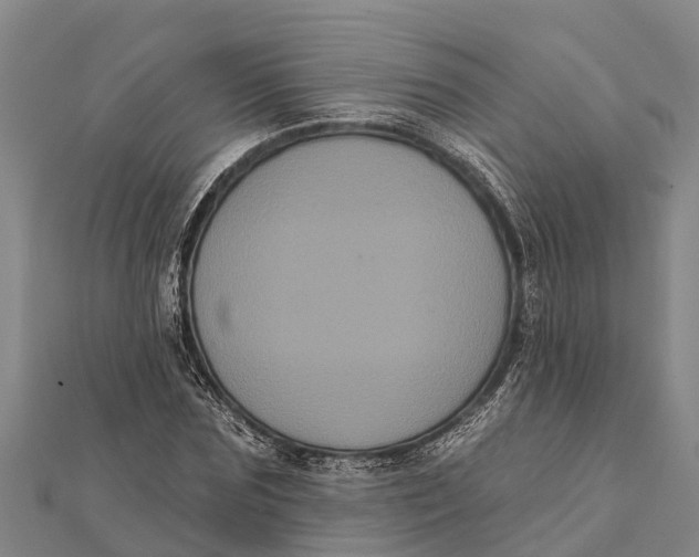 X0000112000875200908241430