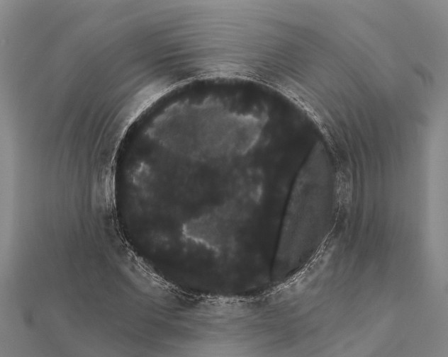 X0000112000877200908241430