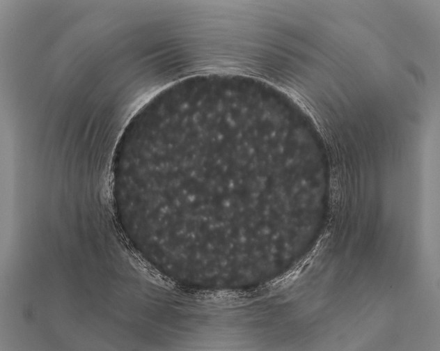 X0000112000879200908241430