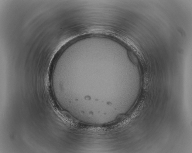 X0000112000880200908241430