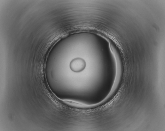 X0000112000881200908241430