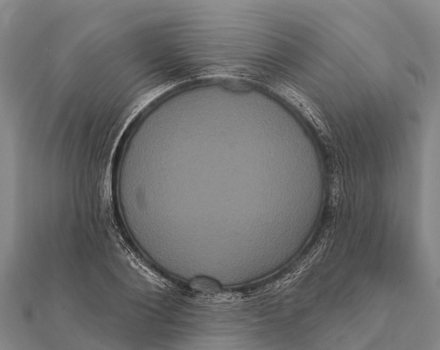 X0000112000884200908241430