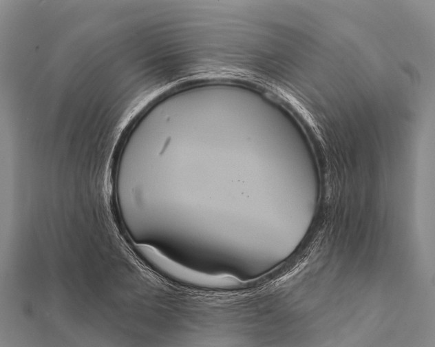 X0000112000885200908241430