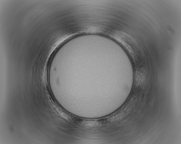 X0000112000886200908241430