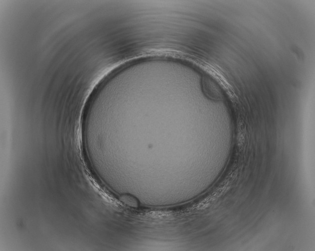 X0000112000888200908241430