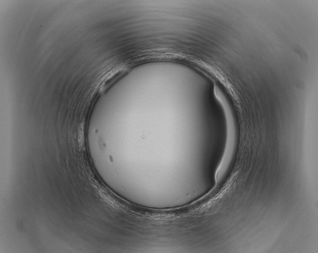 X0000112000889200908241430