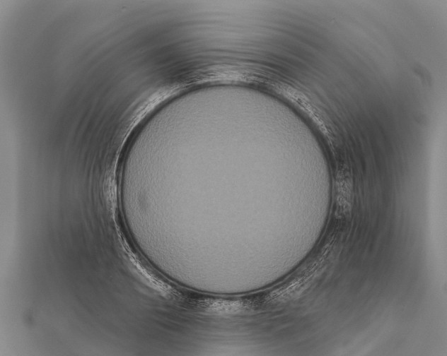 X0000112000890200908241430