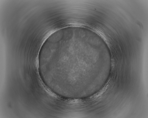 X0000112000891200908241430