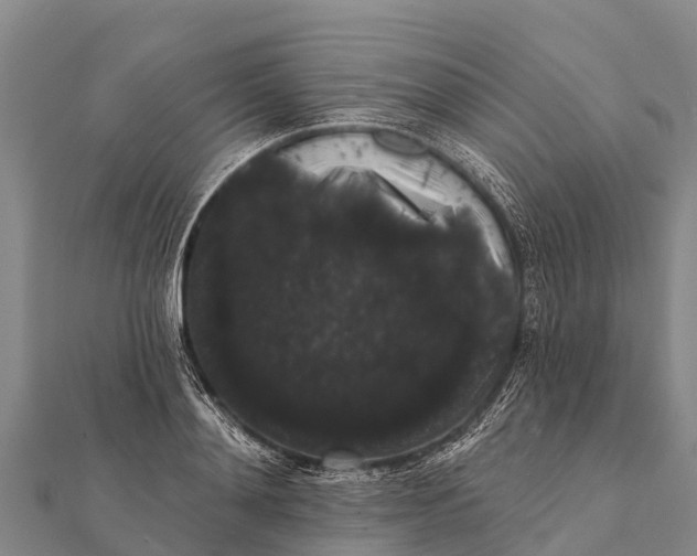 X0000112000892200908241430