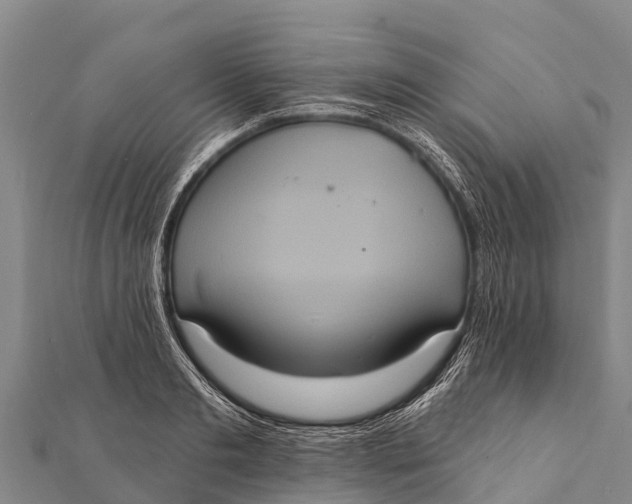 X0000112000893200908241430